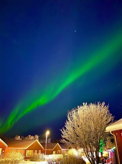 Apartamento Egen Modern Mysig Laegenhet Kiruna Exterior foto